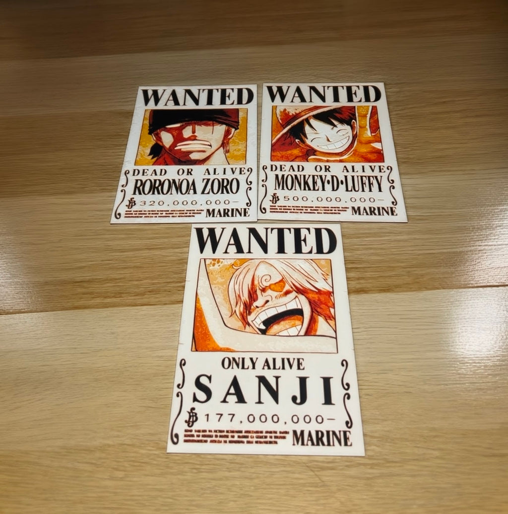 One Piece Anime - Wanted Poster